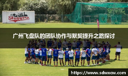 广州飞盘队的团队协作与默契提升之路探讨